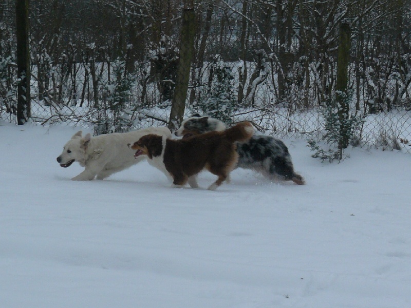 La neige